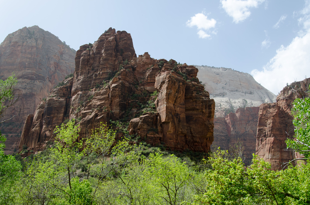 Zion National Park