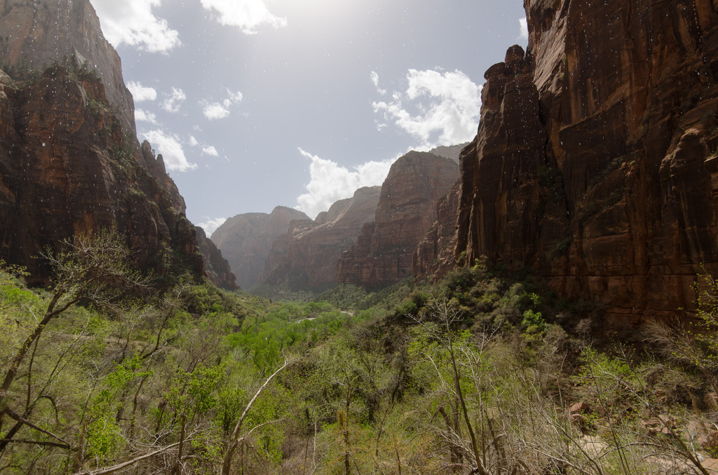 Zion National Park