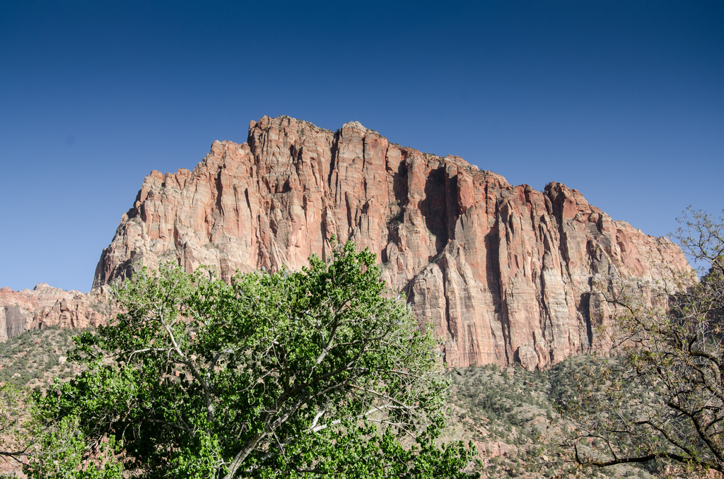 Zion