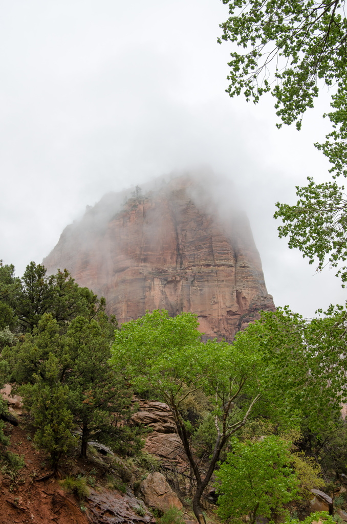 Zion National Park