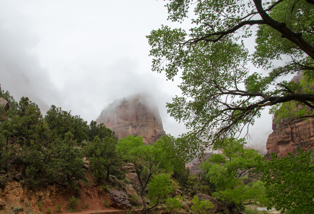 Zion National Park