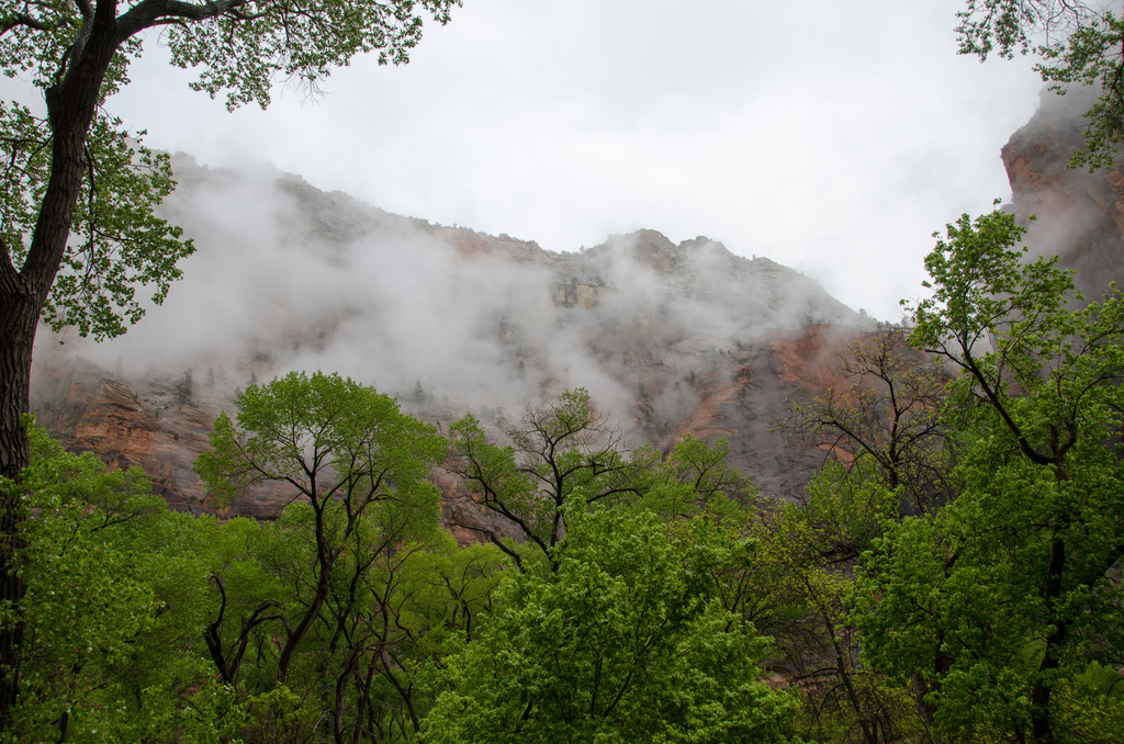 Zion National Park