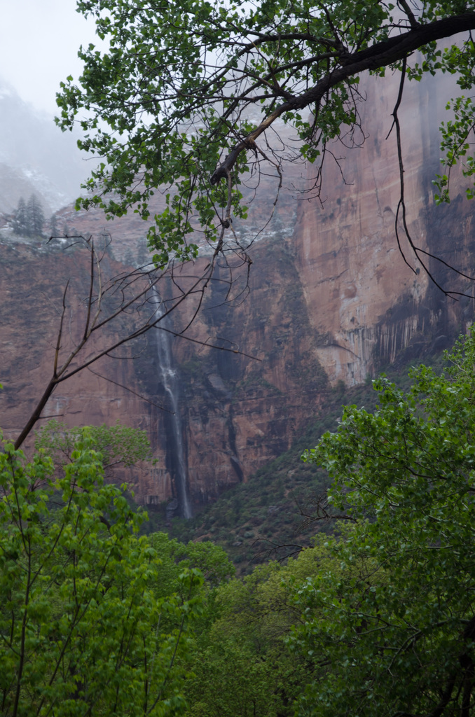 Zion National Park