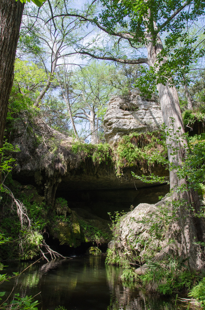 Westcave Preserve Westcave Preserve