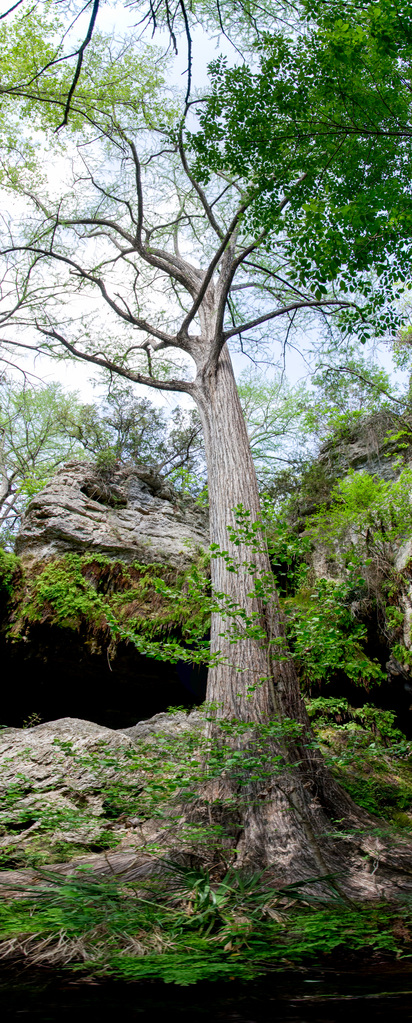 Westcave Preserve Westcave Preserve