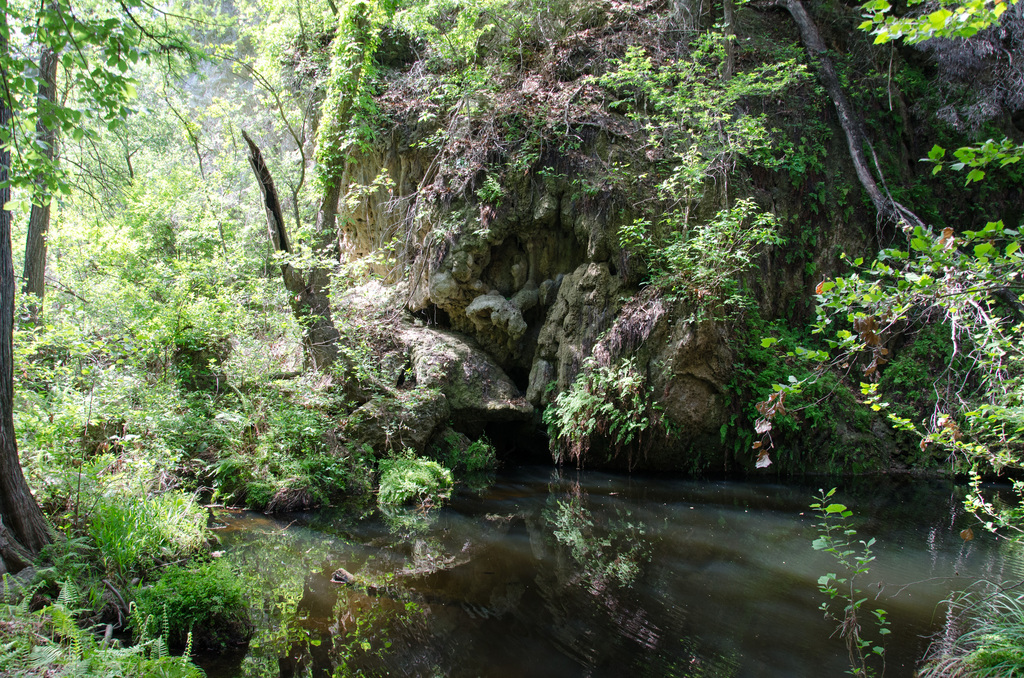 Westcave Preserve