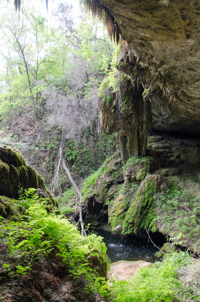 Westcave Preserve Westcave Preserve