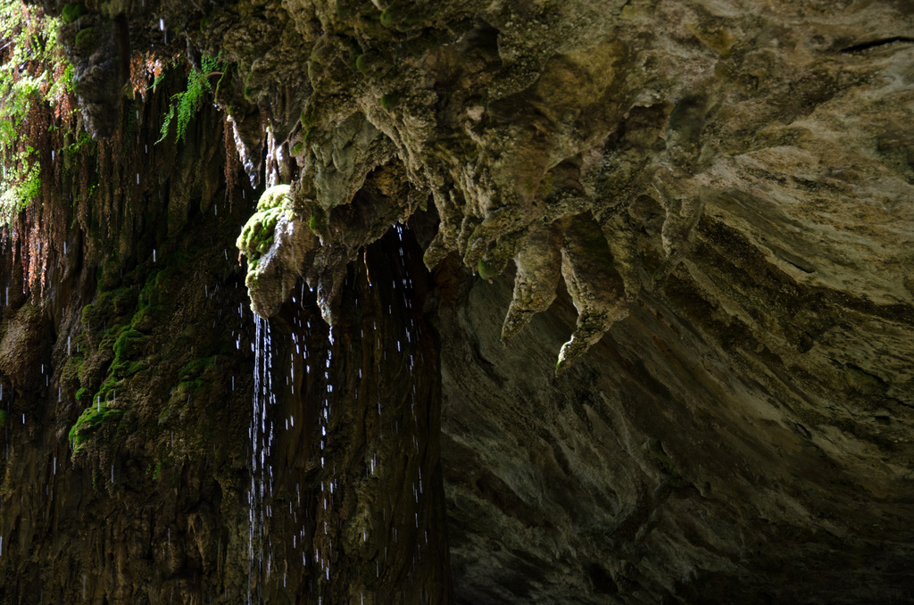 Westcave Preserve