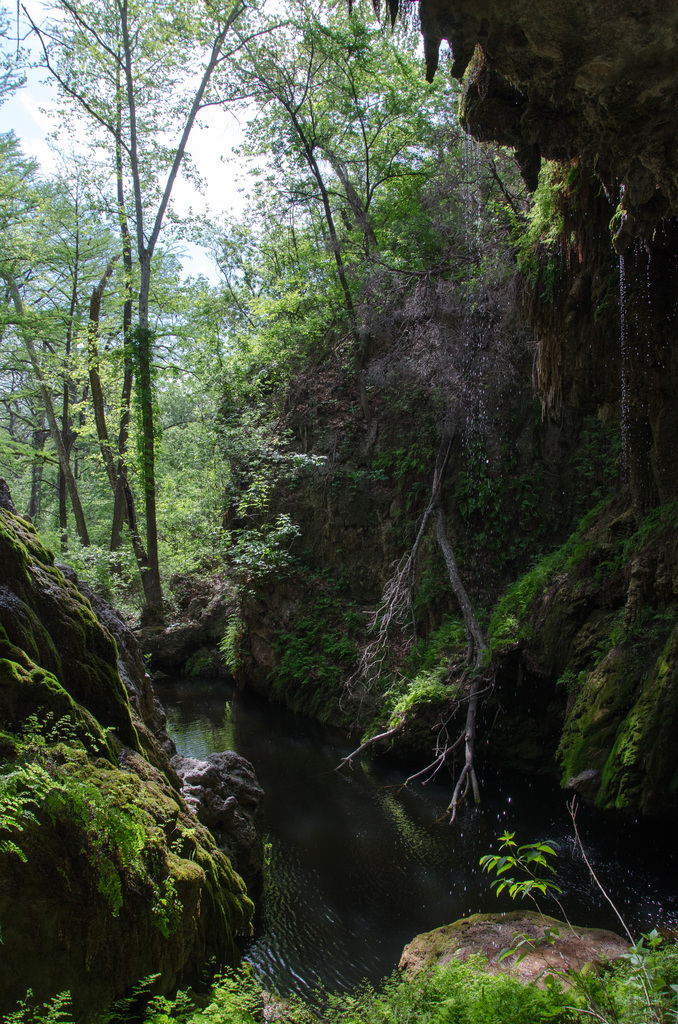 Westcave Preserve Westcave Preserve