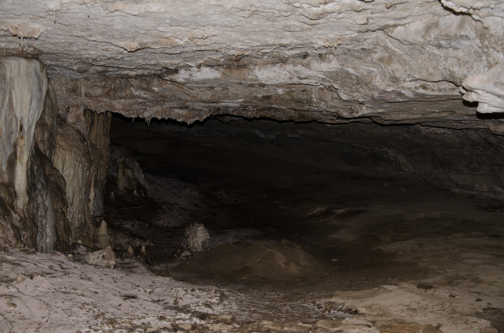 Westcave Preserve