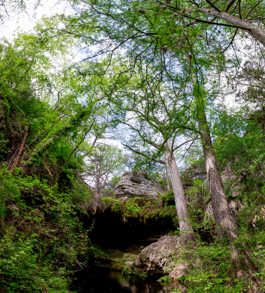 Westcave Preserve