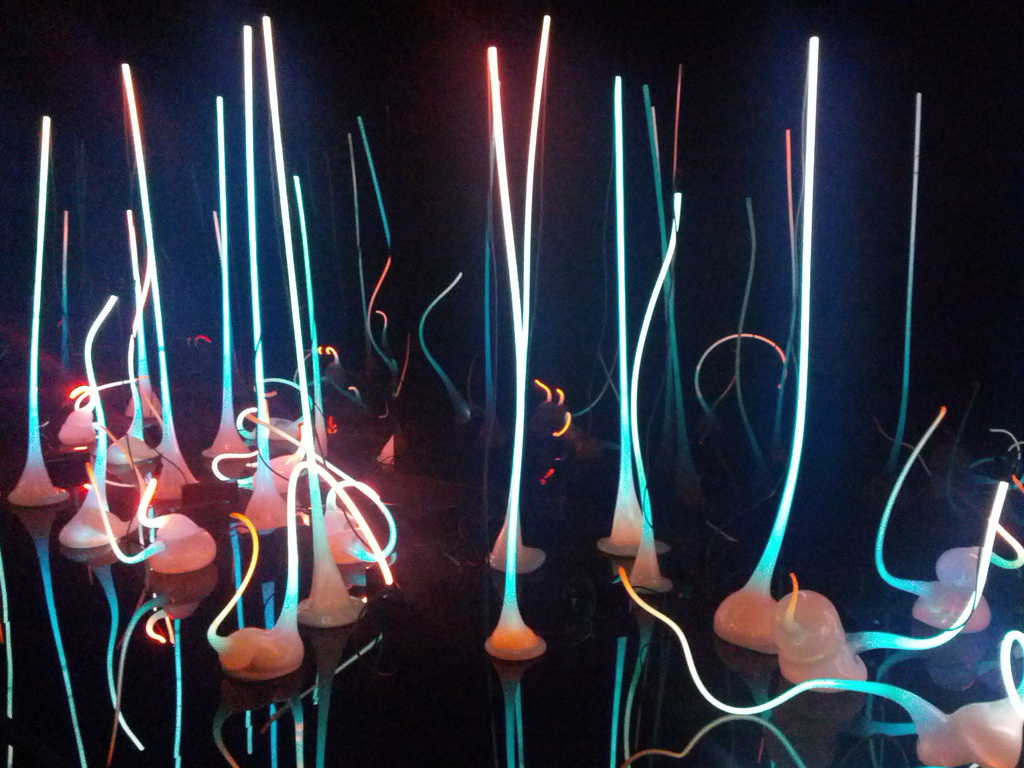 Chihuly