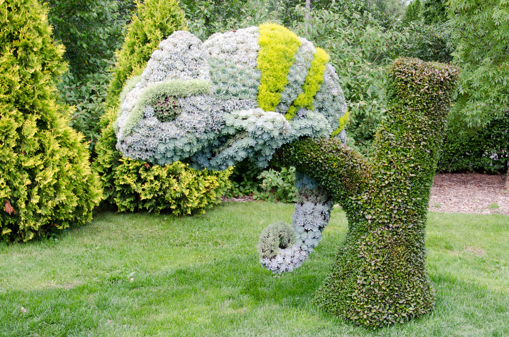 Montreal Botanical Gardens Montreal Botanical Gardens