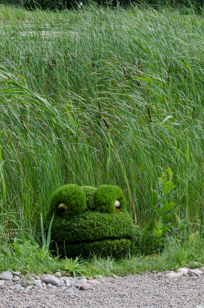 Montreal Botanical Gardens Montreal Botanical Gardens