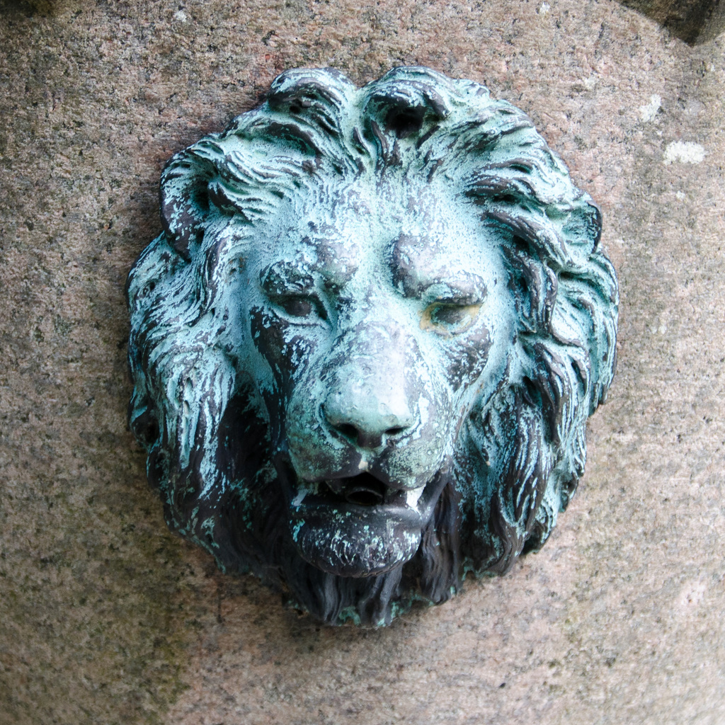 Fountain lion Fountain lion