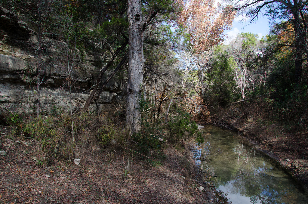Turkey Creek Trail Turkey Creek Trail