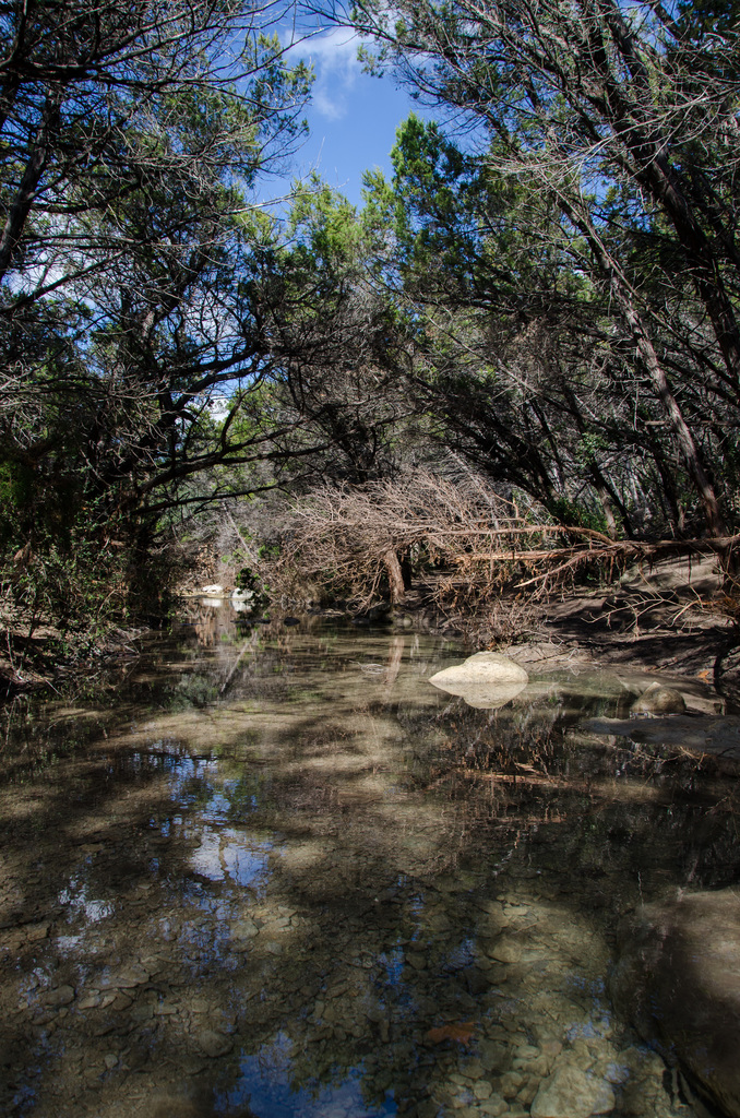 Turkey Creek Trail