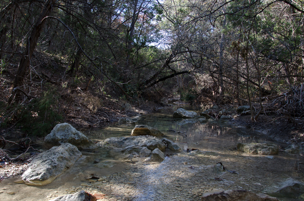 Turkey Creek Trail Turkey Creek Trail