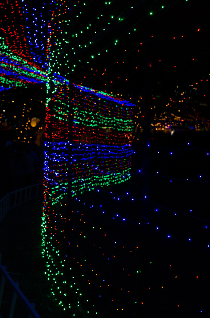 Trail of Lights 2013 Trail of Lights 2013
