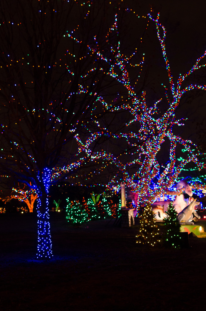 Trail of Lights 2013 Trail of Lights 2013
