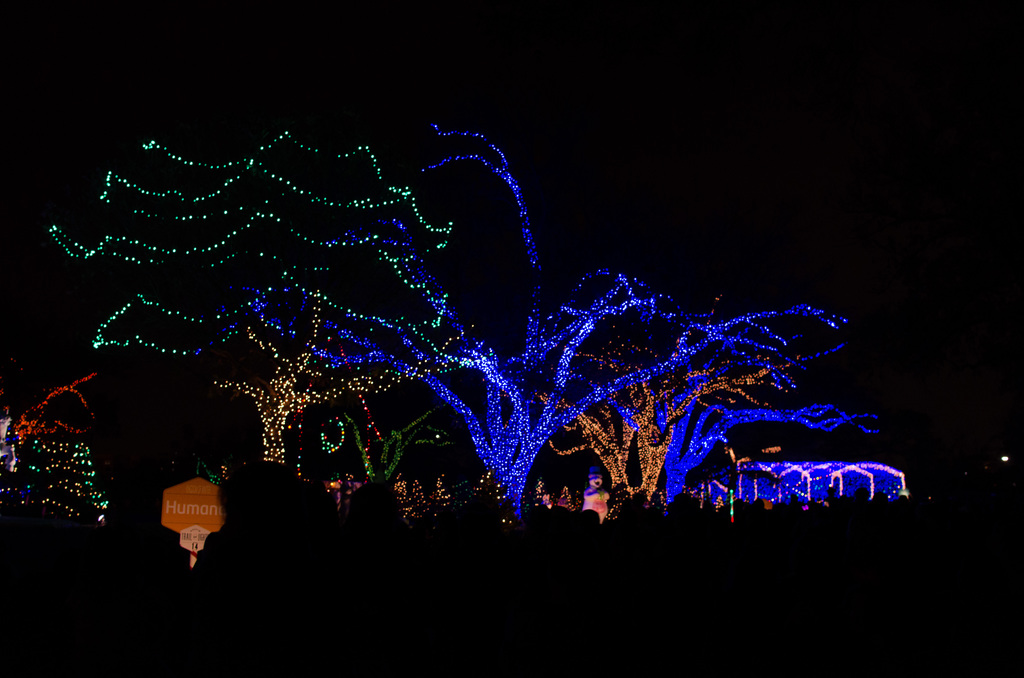 Trail of Lights 2013 Trail of Lights 2013