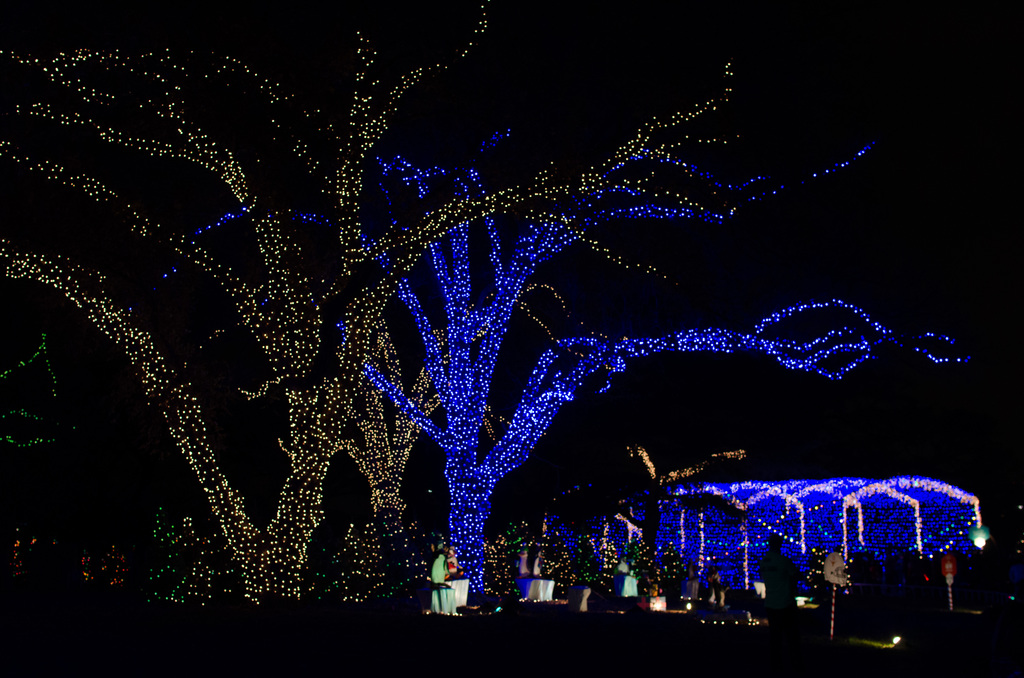 Trail of Lights 2013 Trail of Lights 2013