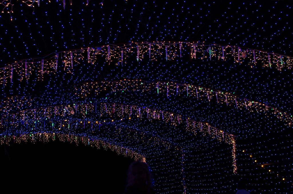 Trail of Lights 2013 Trail of Lights 2013