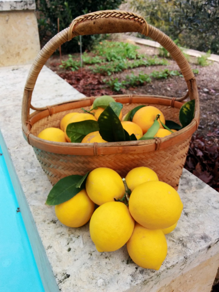 Oranges and lemons