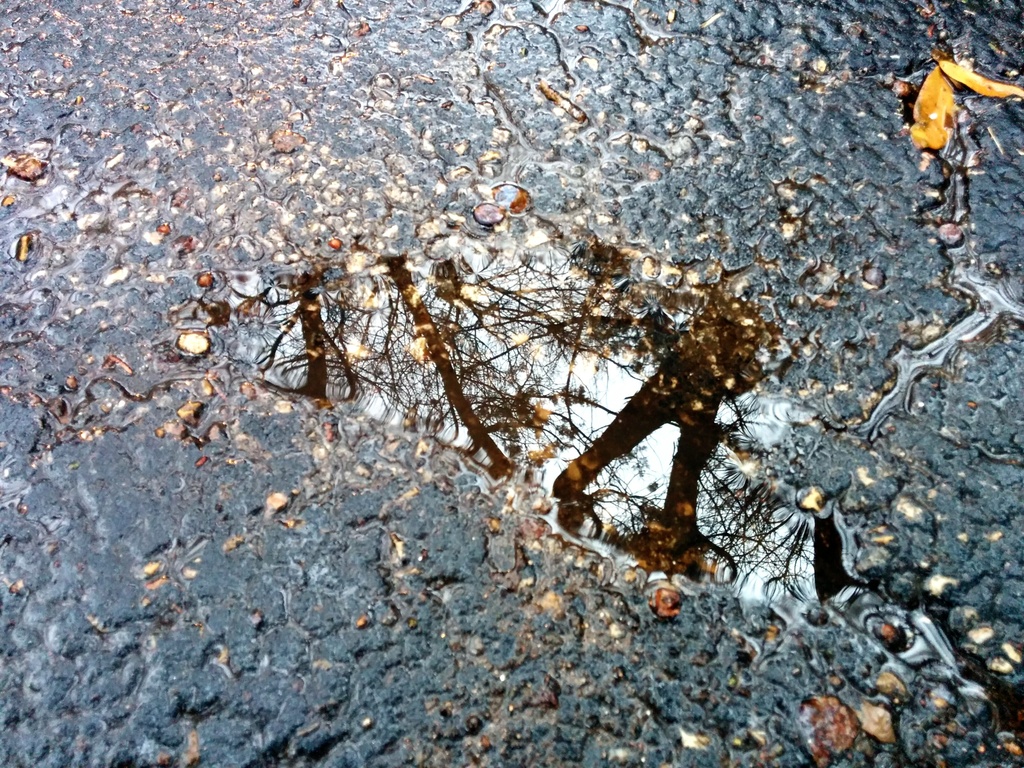 Reflections