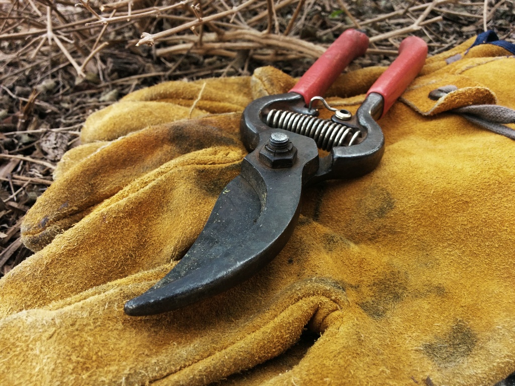 Preparing for spring