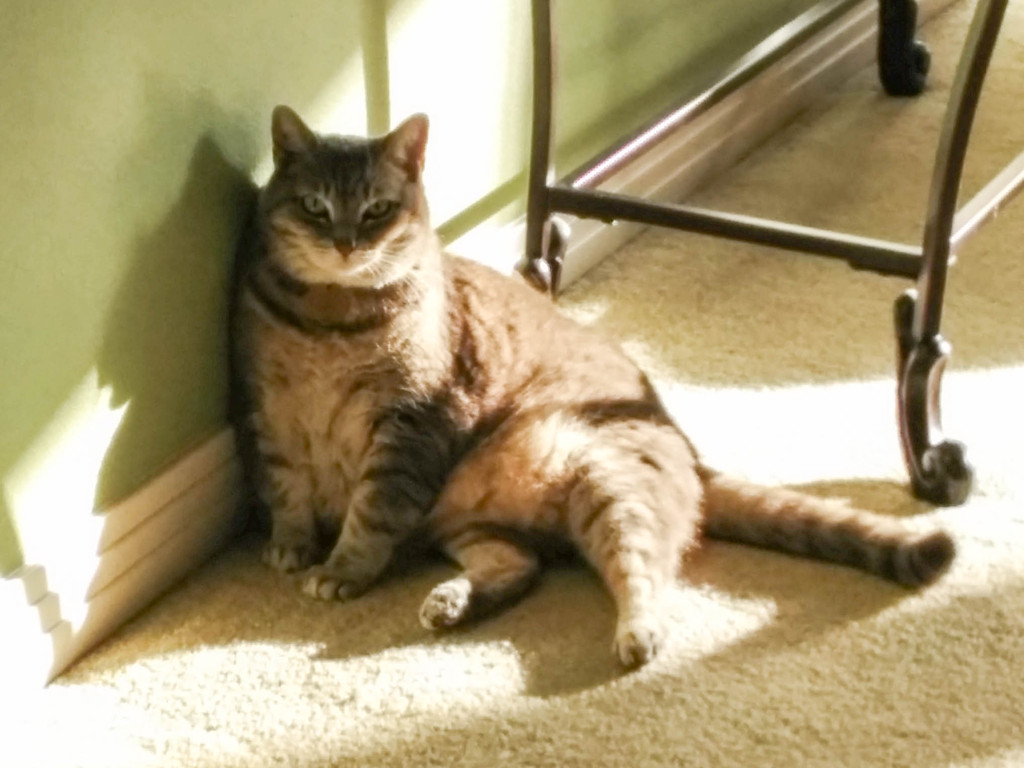 You say you want what now?
