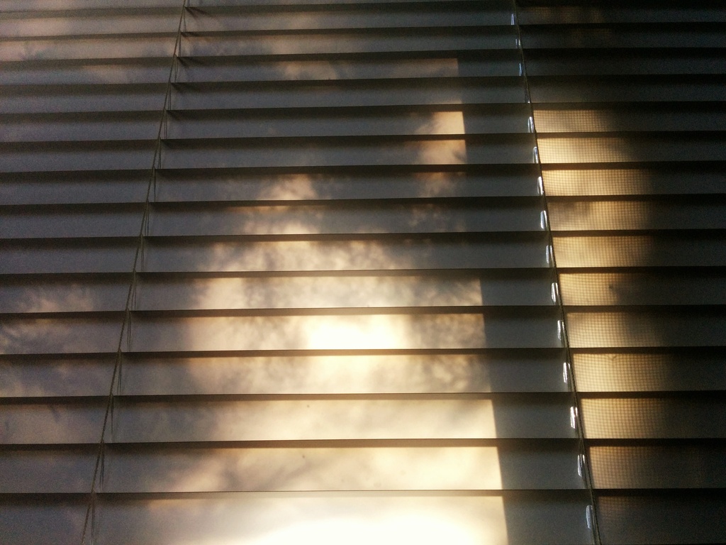 Light and shadow