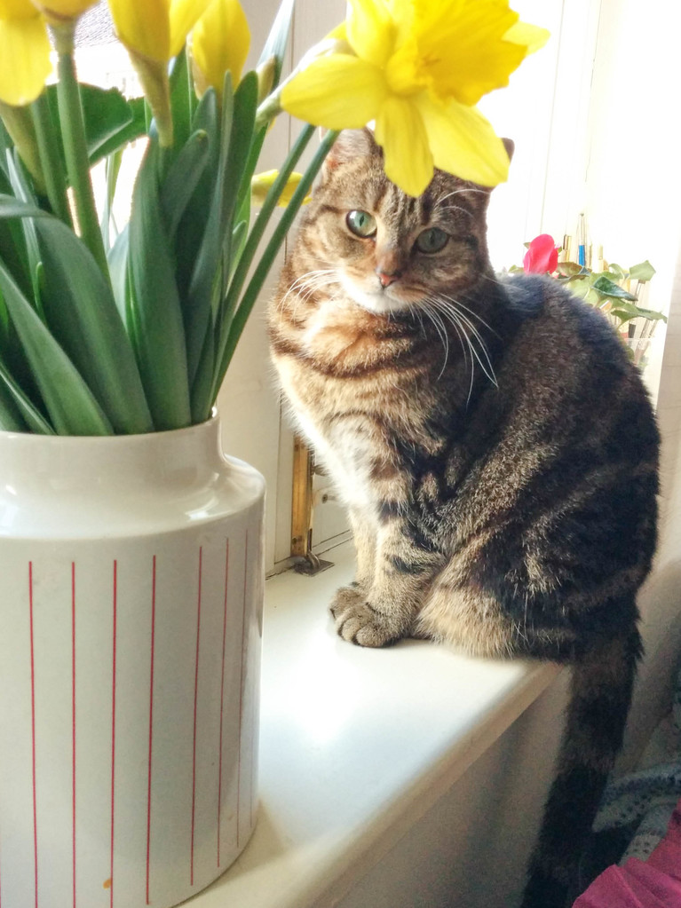 Mitzy