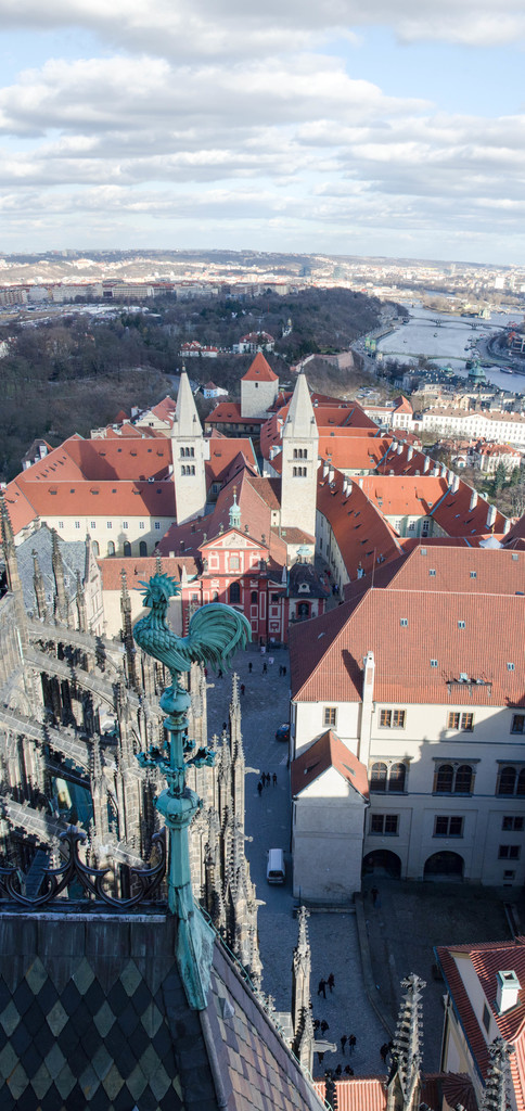 Prague rooster