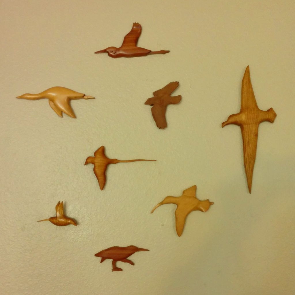 Birds