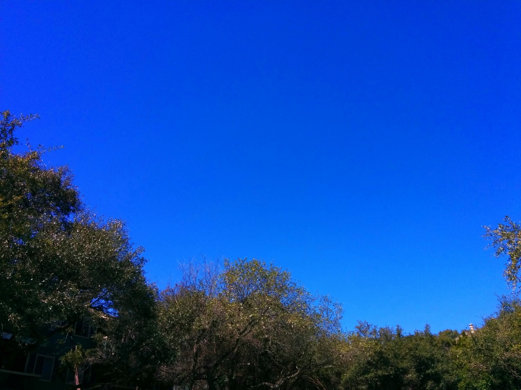 Blue two