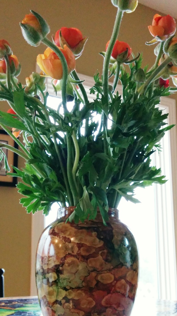 Tulips
