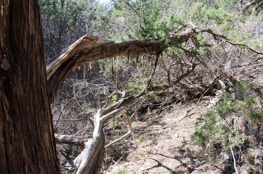 River Place Nature Trail