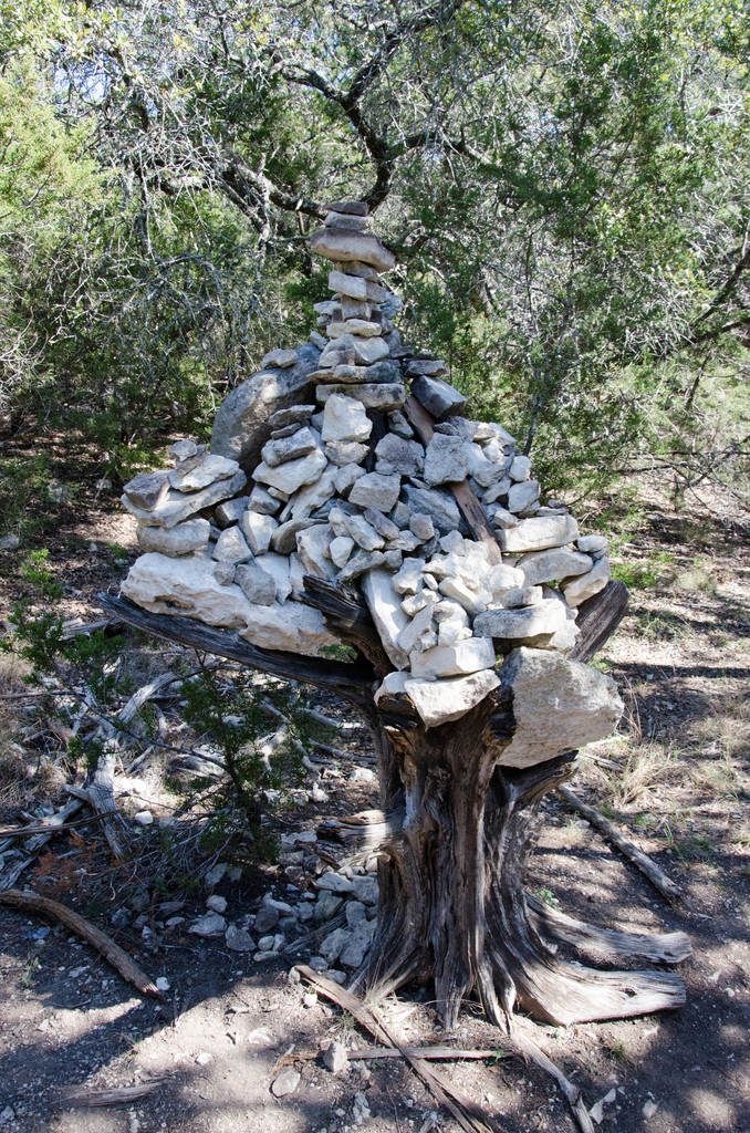 Stone Tree