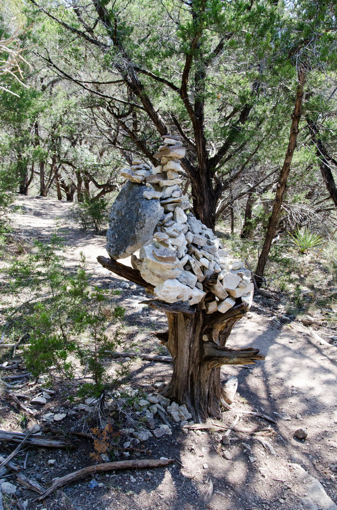 Stone Tree