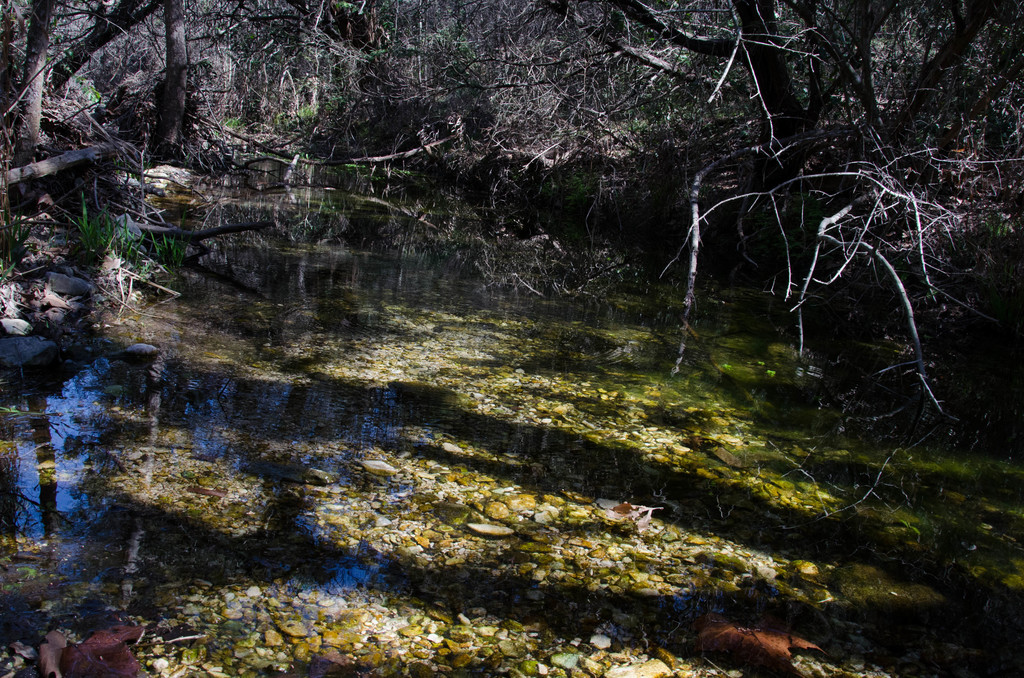 Panther Hollow Creek