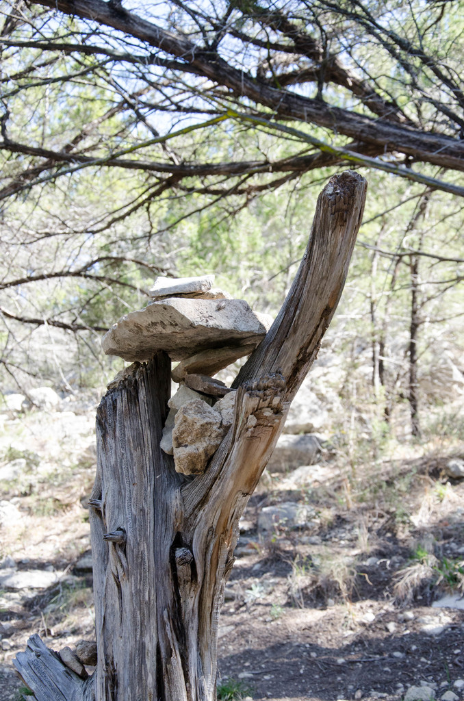 Stone Tree