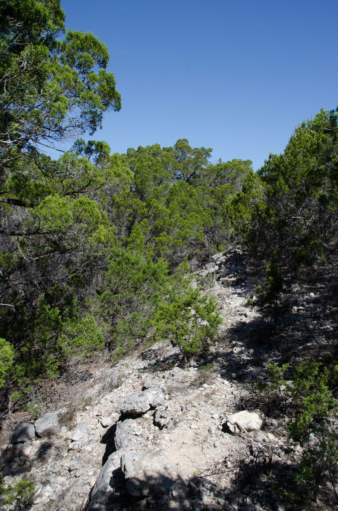 River Place Nature Trail