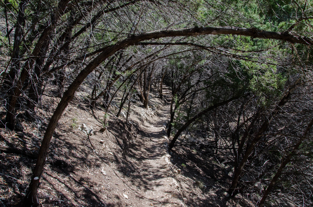 River Place Nature Trail