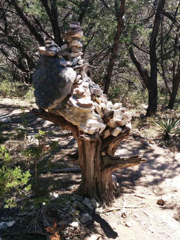 Rock tree