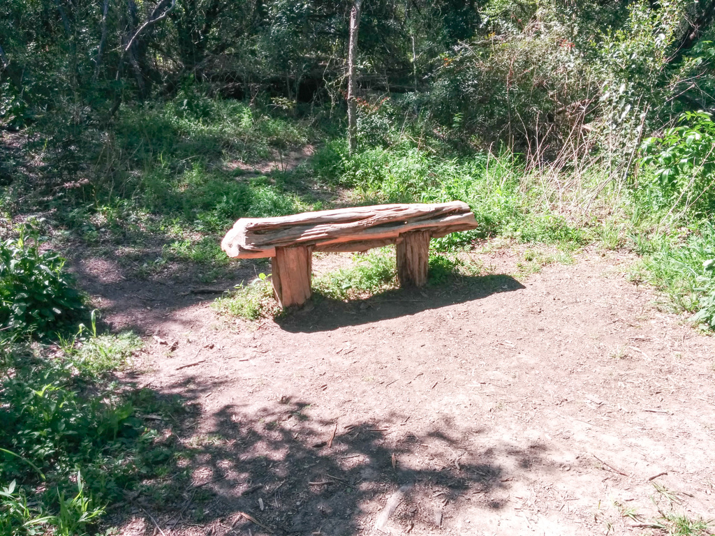 Bench