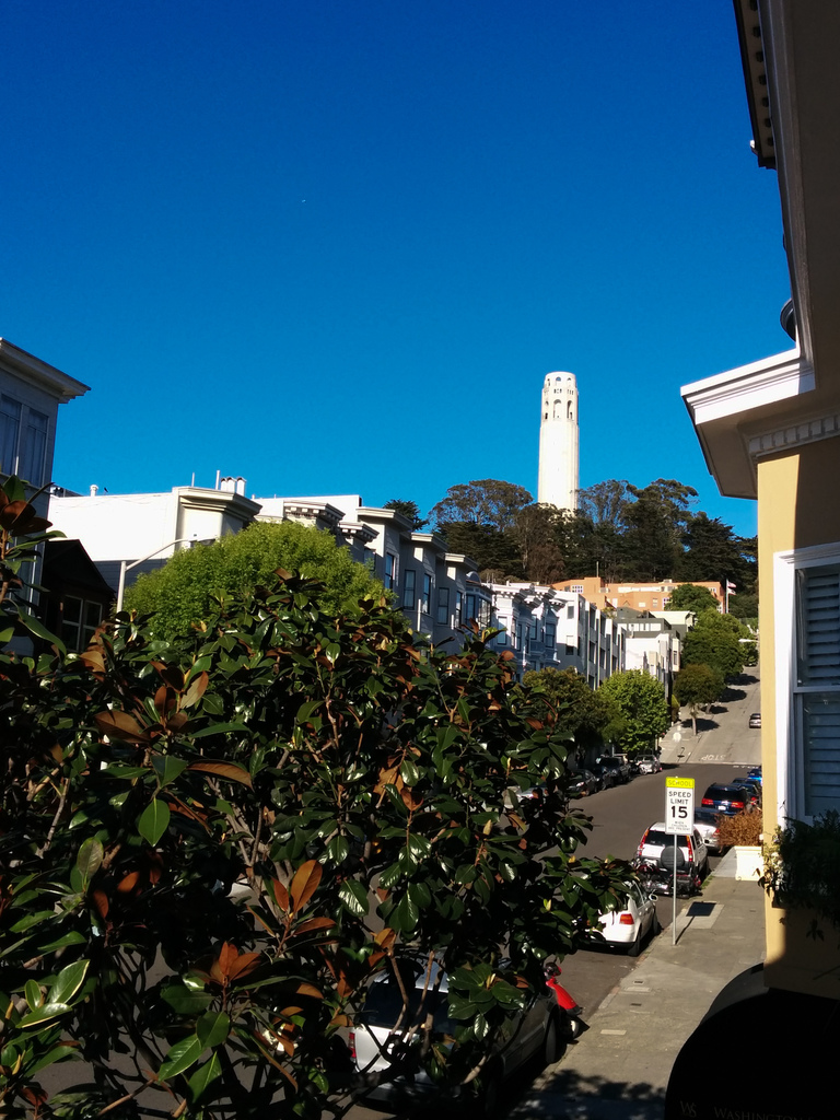Coit Tower