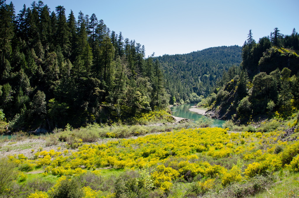 California valley