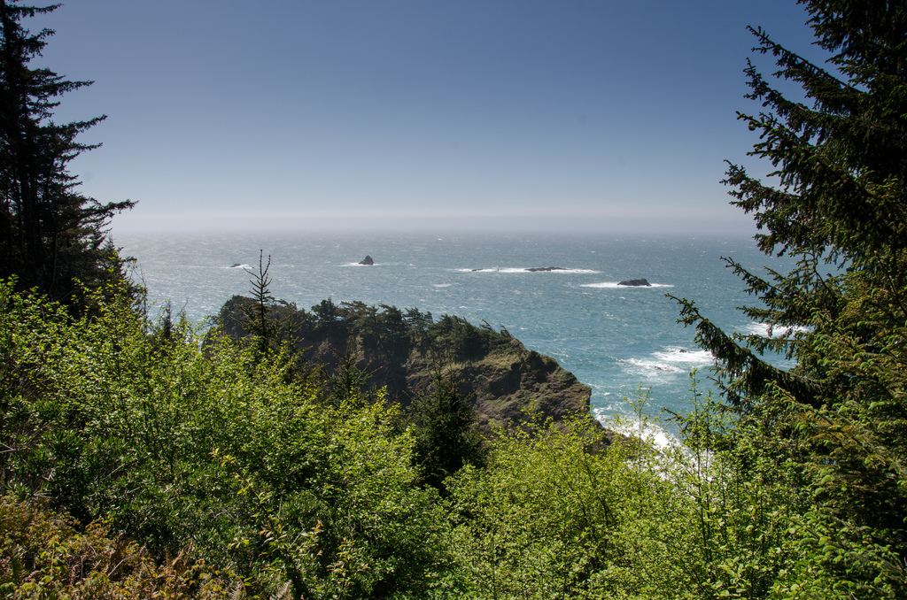 Ocean view