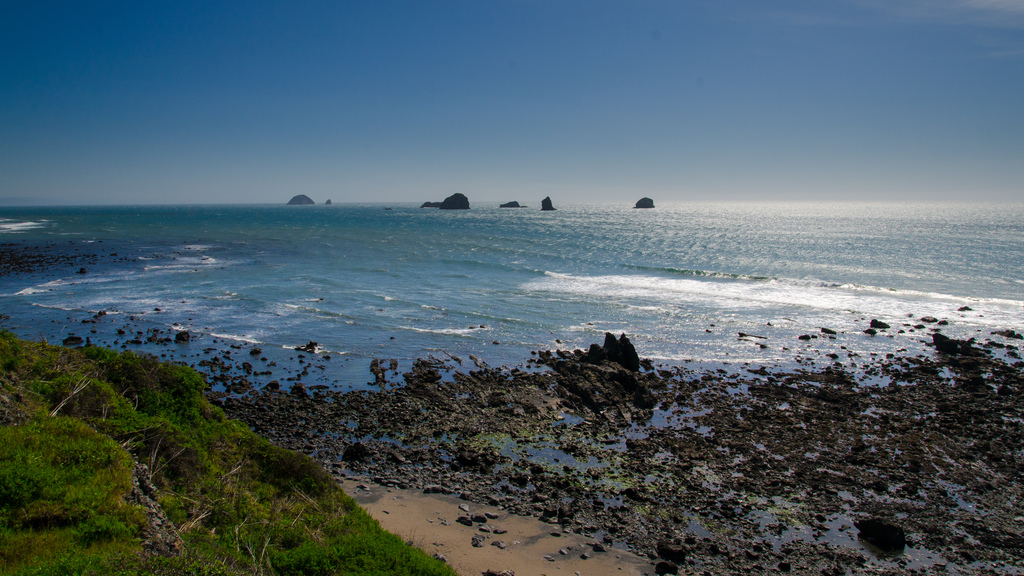 Ocean view